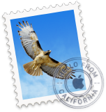Email management