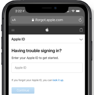 Forgot Apple ID PW